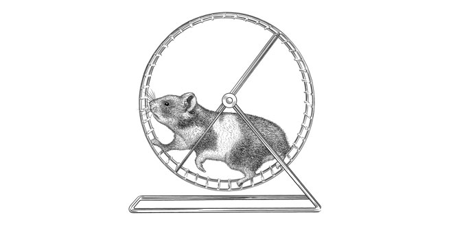 hamster Featured Image