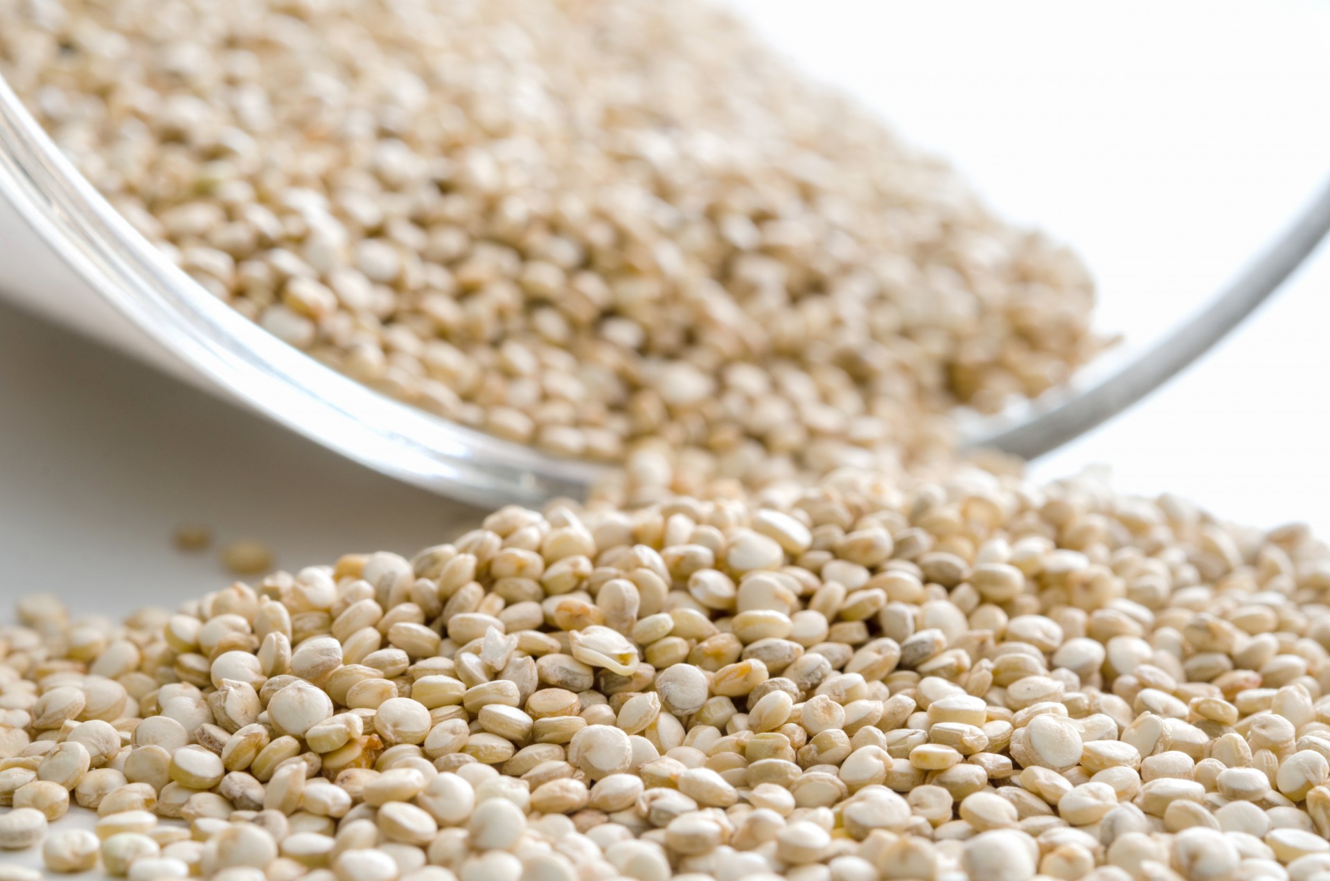 Quinoa Featured Image