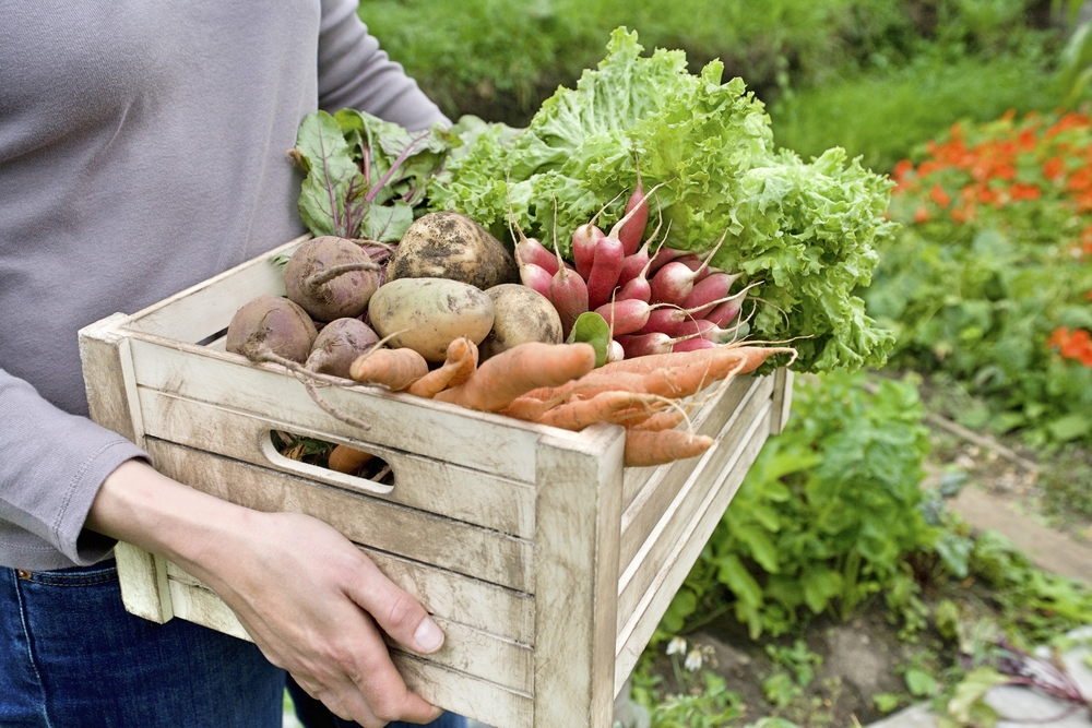 Veggies Featured Image